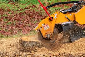 Best Tree Risk Assessment  in East Foothills, CA