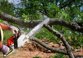 Best Lawn Watering Services  in East Foothills, CA